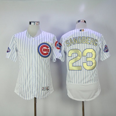 2017 Champions Chicago Cubs 23 Ryne Sandberg Jersey