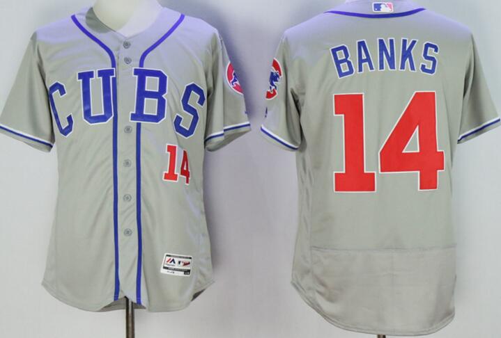 2016 Chicago Cubs 14 Ernie Banks Flexbase Authentic Collection grey men mlb Baseball Jersey