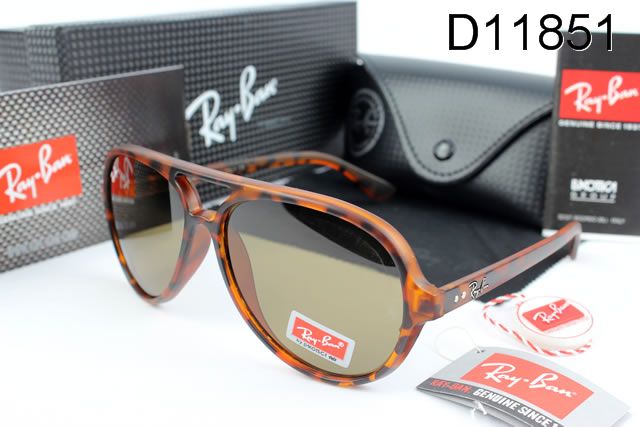 AAA RayBan sunglasses (41)