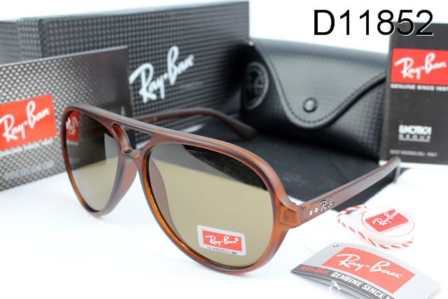 AAA RayBan sunglasses (42)