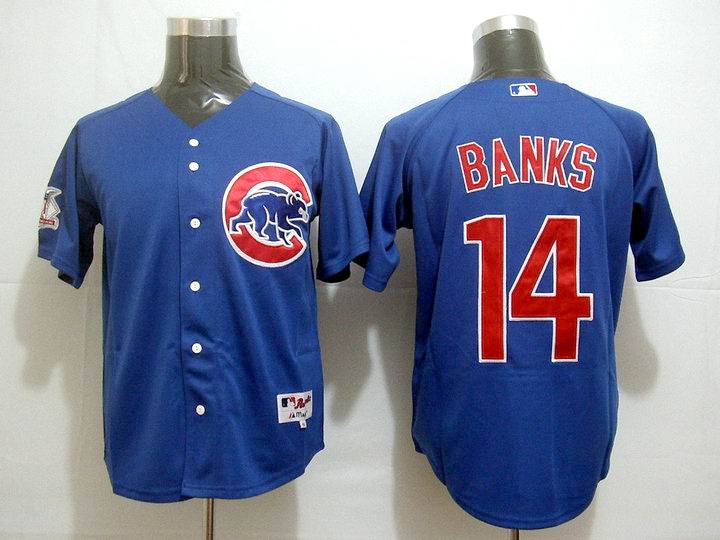 Chicago Cubs 14 Ernie Banks Blue Jerseys MLB