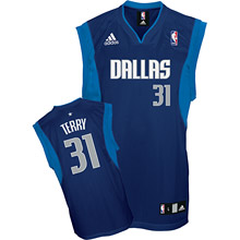 Dallas Mavericks 31 Jason Terry blue adidas men NBA basketball Jersey