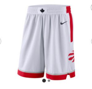 Men Toronto Raptors Basketball Shorts