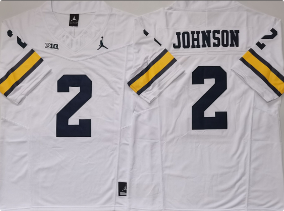 Men's Michigan Wolverines #2 Will Johnson  Stitched Jersey