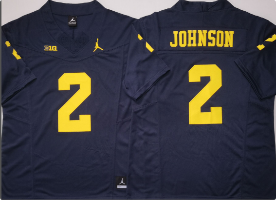 Men's Michigan Wolverines #2 Will Johnson  Stitched Jersey