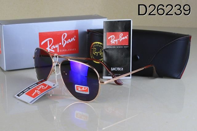 RayBan sunglasses (109)