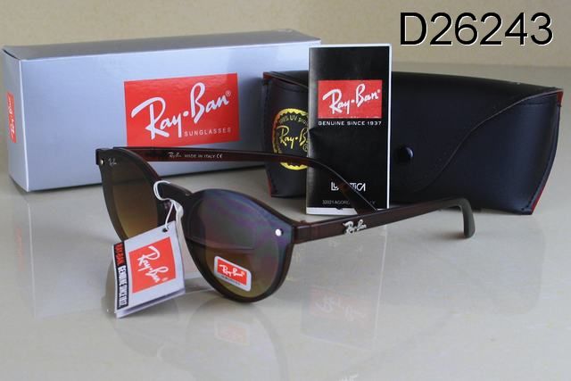 RayBan sunglasses (111)