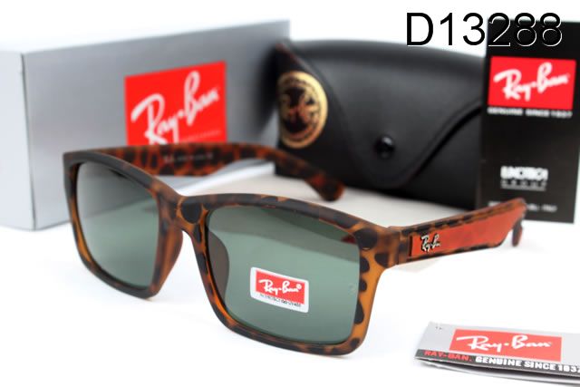 RayBan sunglasses (37)