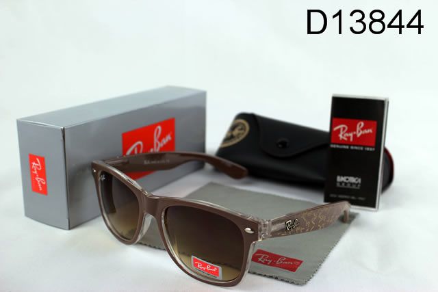 RayBan sunglasses (41)