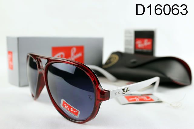 RayBan sunglasses (59)