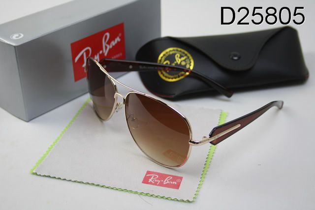 RayBan sunglasses (88)