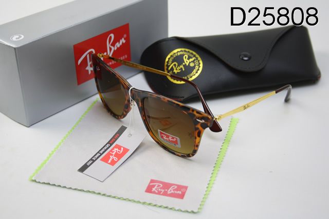 RayBan sunglasses (90)