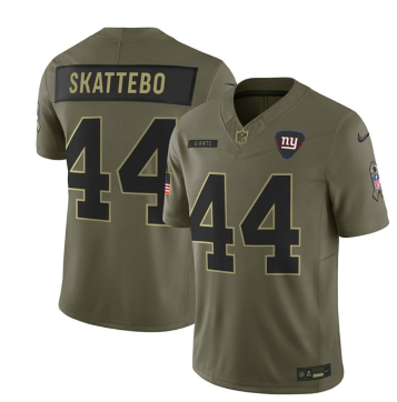 Men's New York Giants #44 Cam Skattebo Olive 2025 F.U.S.E. Salute to Service Limited Football Stitched Jersey